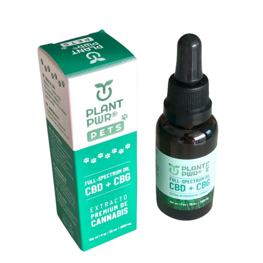 plant pwr - mascotas